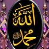 shok_e_madina