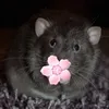 tsumadisey1