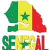 saliou3010