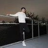 mysterio_montana