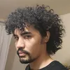 ashimurr