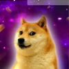 universaldoge