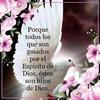 adaliflores0708