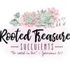 rootedtreasuresucculents
