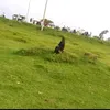 khadijask18