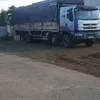 tinhmai6816
