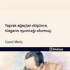 user9296014521746