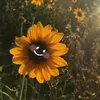 _sunflower_luv_u