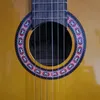 alfonsoschisano47