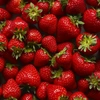 do_you_like_strawberries