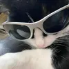 bosszhenn
