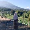 dwipuji8467