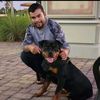 1rottweilers