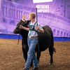 cow_catcher21
