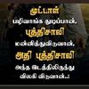 msyedali2
