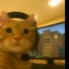 _shkibidioleg