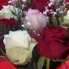 r__s.o30.21.17