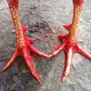 axuyn.010179