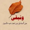 أمير الوفاء