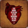 www.tiktok.com_busy1