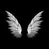 ahmed_najah99