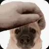 wghsfewq