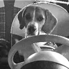 martinandbuddy