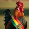 libre_sin_socialismo