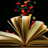 perdidanobooktok