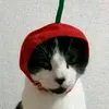 bachirioz