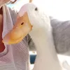 bemarswillix