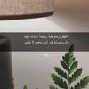 ftoom_024
