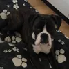 kendalsbackup_2