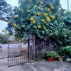 anna24049