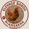 baroumariko822