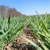agronomistday
