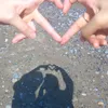 sara__el44