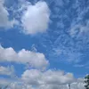 shalala64