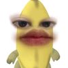 elmiiana