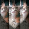 rahma.rabie83