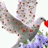 user10232379047671
