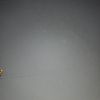 max_im010