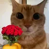 thekaktusmc