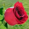 razwanahmed897