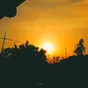 jaspee233