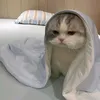 baobei2k2