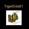 TigerEnte01
