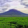 info.kabupaten.kerinci