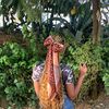 taisie.elam