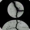 imi1f